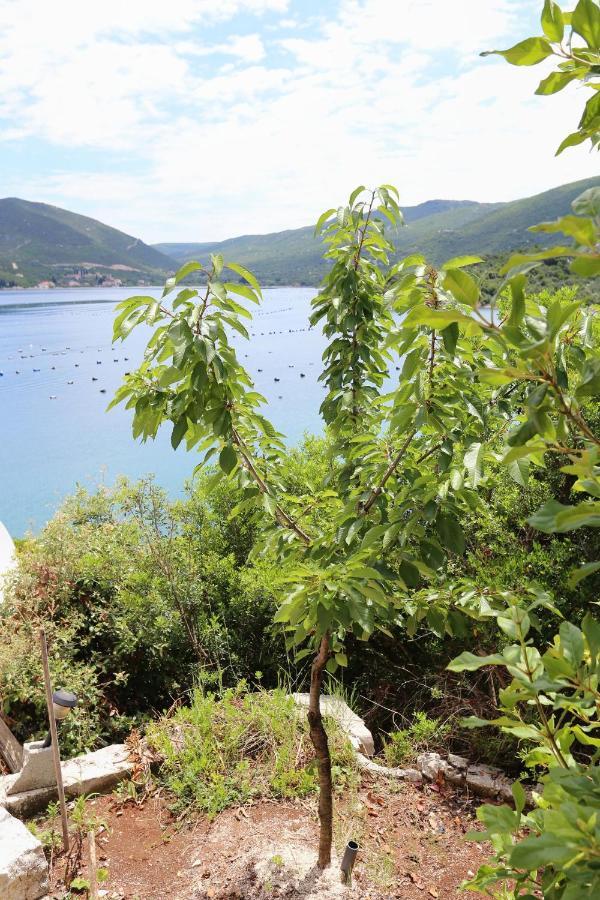 Apartments By The Sea Kabli, Peljesac - 10221 Brijesta Exteriér fotografie